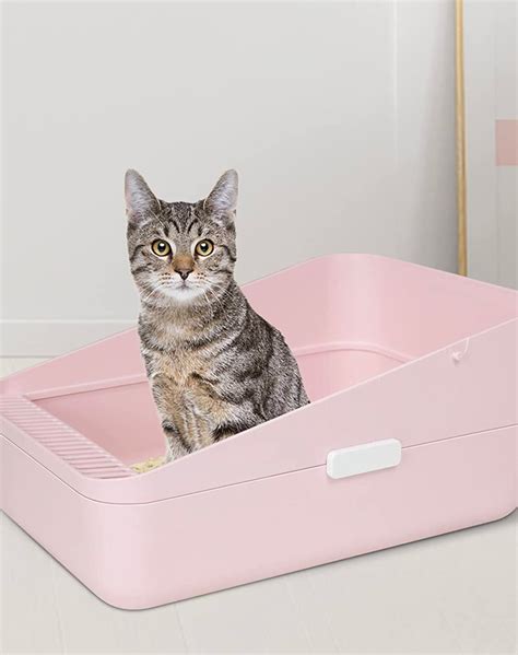 small covered litter box